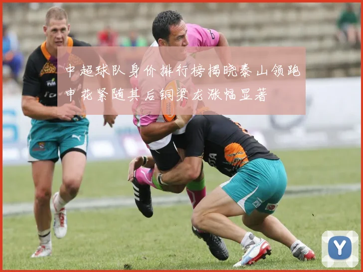 中超球队身价排行榜揭晓泰山领跑申花紧随其后铜梁龙涨幅显著