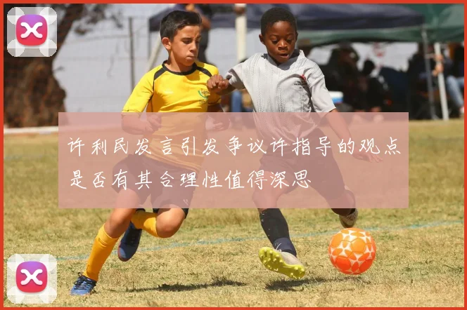 许利民发言引发争议许指导的观点是否有其合理性值得深思