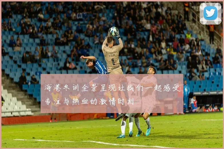海港冬训全景呈现让我们一起感受专注与热血的激情时刻